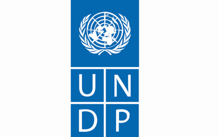 Project Assistant | Published on 30-12-2018 | Apply before 12-12-2018 United Nations Development Programme (UNDP – Rwanda)