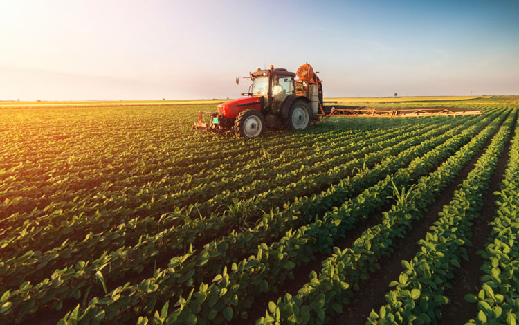 How far is Africa from its Green Revolution dream?