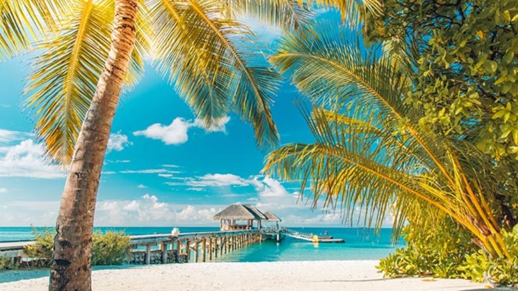 Seychelles to develop a national grading system for tourism establishments 1 Seychelles reboots tourism 1280x720 1