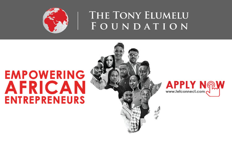 business plan for tony elumelu foundation