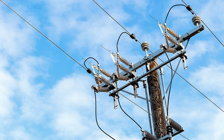 Kenya to have eco friendly bamboo electric posts