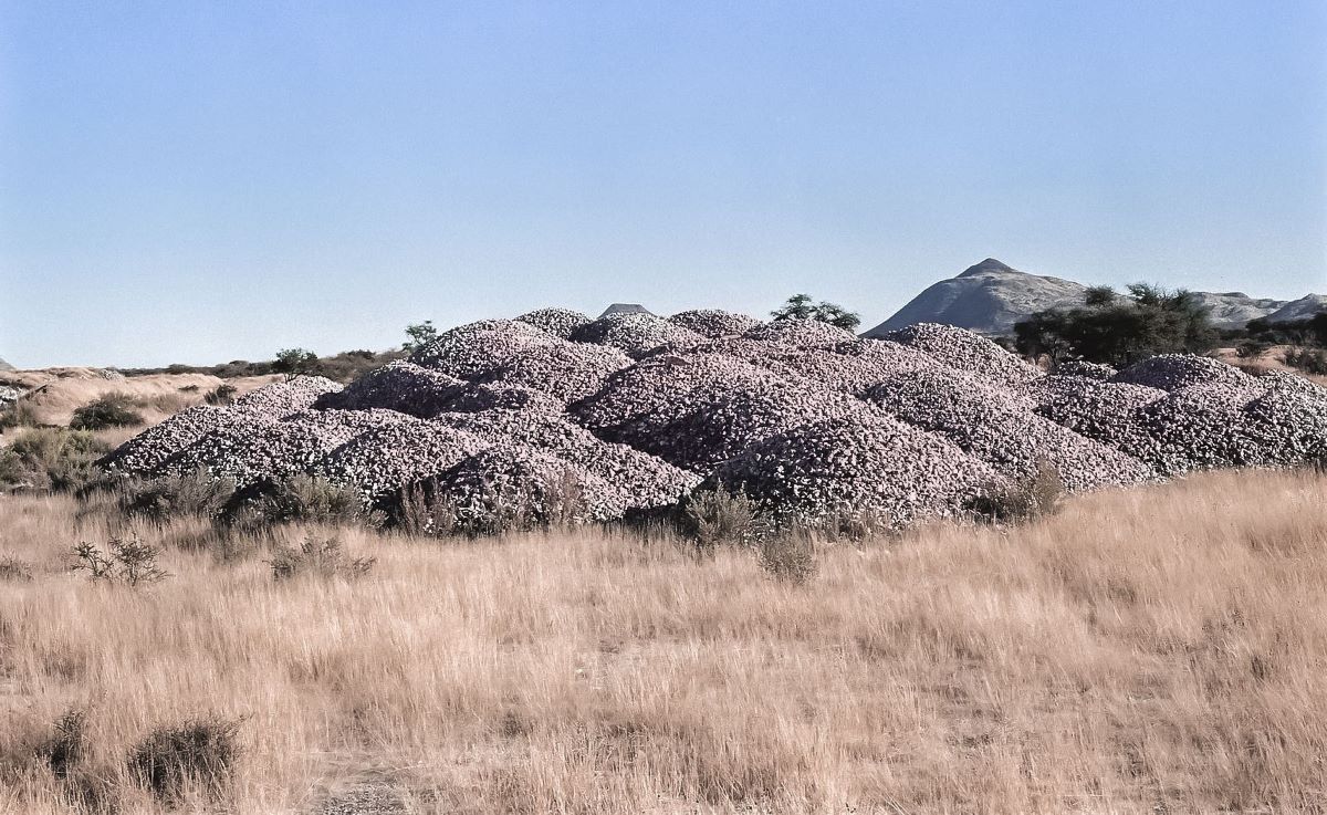 Lepidico secures DFC funding for its Namibian lithium project