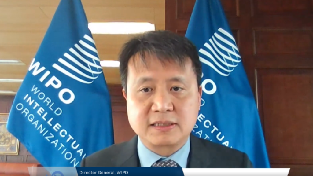 WIPO DG visit Namibia to bolster intellectual property collaboration 1 WIPO