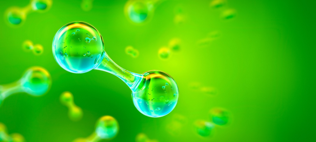 Namibia earmarks N$5m to green hydrogen feasibility study 1 green hydrogen feasibility policy