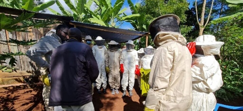 Bee Keeping to Bee Venom: Kenyan Farmers Tap into New Forays 1 wcms 841409