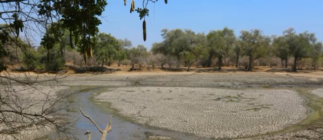 Malawi Declares A State of Disaster Consequent to Unprecedented Drought