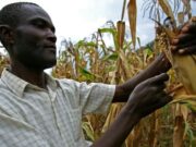 IMF Team to Visit Zambia to Assess Impact of Drought