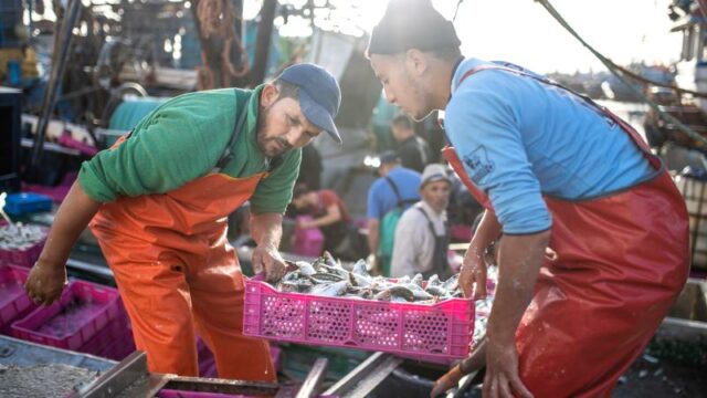 Suggestion to Annul Morocco-EU Fishing Agreement