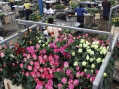 Customs Duty on Cut Flowers