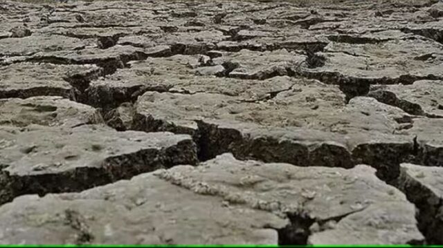 Zimbabwe too declares ‘State of Disaster’ over severe drought,  third Southern African country to do so