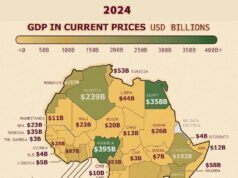 African Growth Story: New Paradigms & Approaches