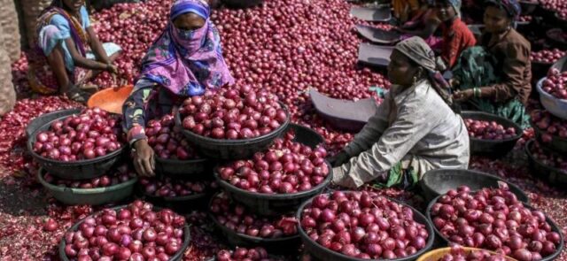 Onion Prices Rule High in Kenya