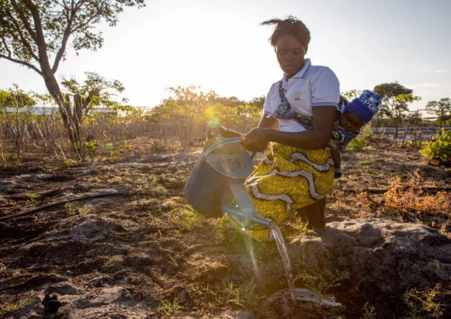 Southern African Drought Spreading: UN Agencies Gearing up for Averting a Major Catastrophe