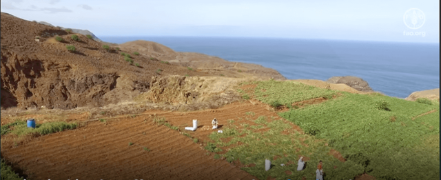 FAO-China Project in Cabo Verde to Protect Agriculture from Climate Change