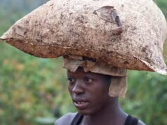 Ivory Coast, Ghana Fails to Fulfill Cocoa Bean Delivery Orders