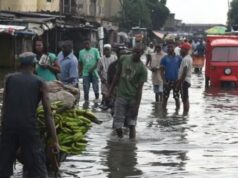 Nigerian Government Told to Take Steps for Preventing Monster Floods