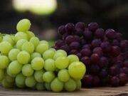 Namibia’s table grapes export surges by 19%, hits N$1.7bn