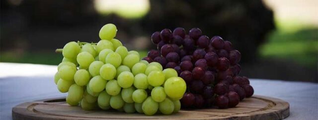 Namibia’s table grapes export surges by 19%, hits N$1.7bn
