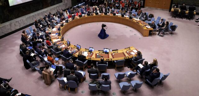 Somalia Elected to Serve UN Security Council