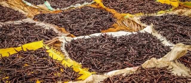 Tanzania to Ensure Good Market for Coffee and Vanilla by Curbing Smuggling