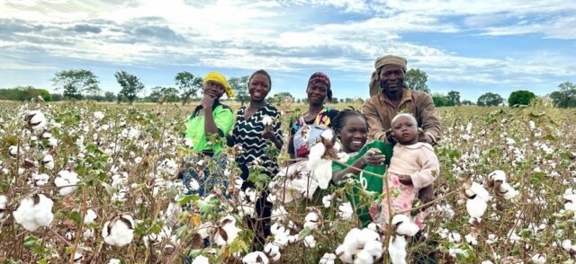 Consortium Funds USD 86 mn for Cotton Processing in Benin