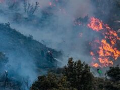 Rampant Bush Fires Ravage Algerian Forests and Farms in Past 24 Hours