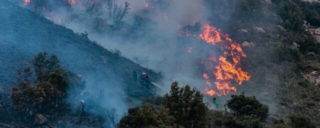 Rampant Bush Fires Ravage Algerian Forests and Farms in Past 24 Hours