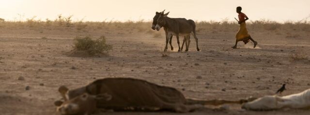 Hunger Affected One Out of 5 in Africa: UN Report