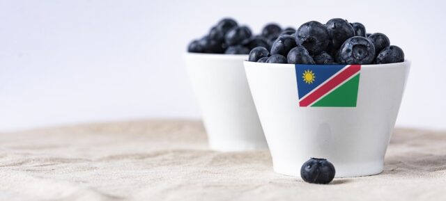 Namibia: Mashare Blueberry Pilot Project on Expansion Mode