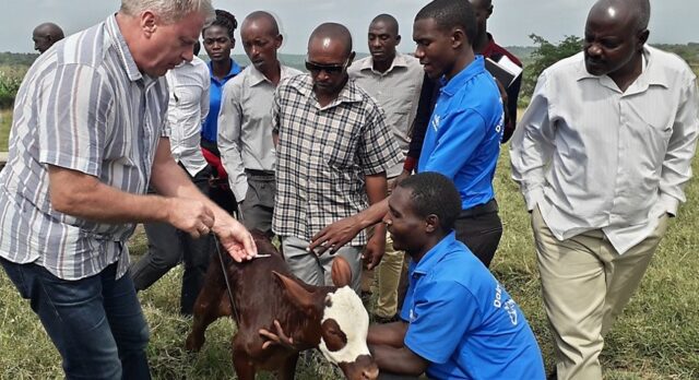 Uganda to Focus on Dairy Development: Initiates Innovative Programs to Up Milk Production