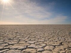 USD 208 million WB Grant to Zambia for Drought Mitigation