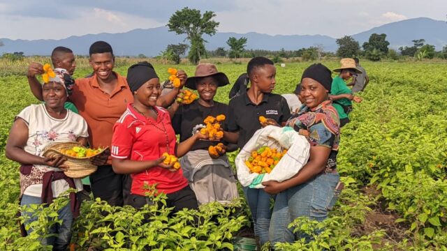 Agricultural Fair in Tanzania Helps Farmers to Showcase Products