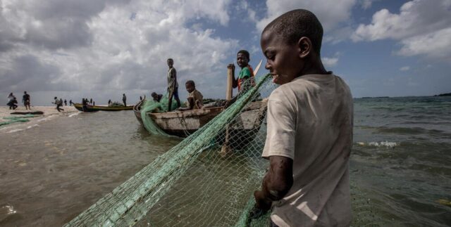 Artisanal Fishing in Mozambique at Crossroads: Survey