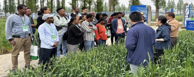 The Africa-China-CIMMYT Science Forum to Transform Continent’s Food Systems