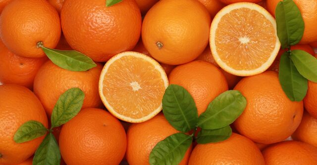 Ban on Import of Citrus Fruits into Botswana Temporary