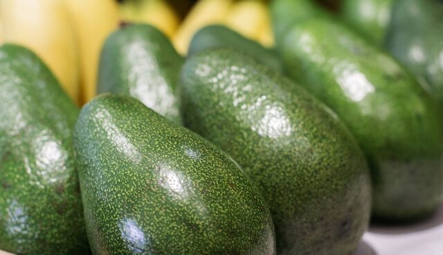 Kenya’s Exports of Avocado to China Plummets: Exporters Focussing North America