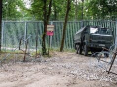 Germany Enhances Monitoring of Borders to Prevent Immigrant Influx