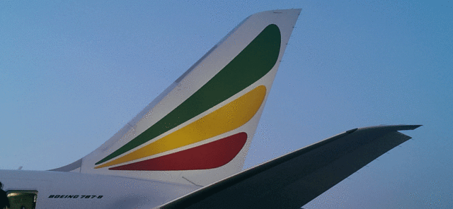 Ethiopian Airlines Suspends Operations to Eritrea