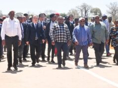 Mozambican President Calls for Investment in Primary Processing