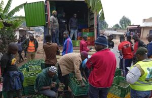 Burundi Farmers Get Better Prices for Avocados Thanks to Government Intervention