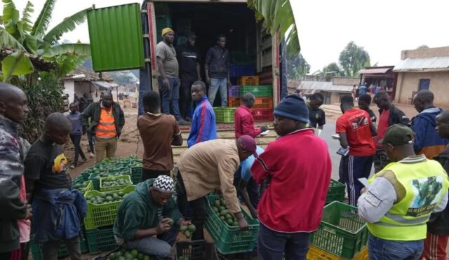 Burundi Farmers Get Better Prices for Avocados Thanks to Government Intervention