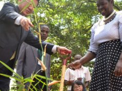 Ugandan Farmers to Benefit from China-Uganda Bamboo Project