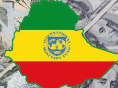 Ethiopia Infuses Dollars to Stem Foreign Currency Crisis