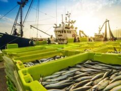 Role of Fishery Sector in Africa Highlighted