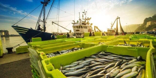 Role of Fishery Sector in Africa Highlighted