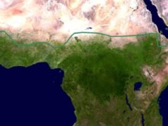 The Great Green Forest Wall for Sahel: Project with a Difference