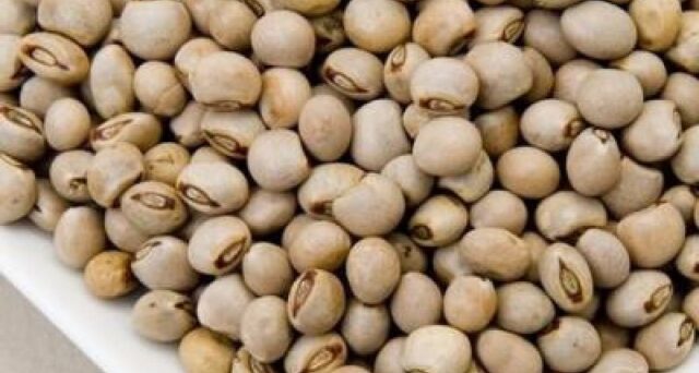 https://trendsnafrica.com/mozambique-court-withholds-export-of-usd-61m-india-bound-pigeon-peas/