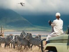 Tourism in Tanzania Picks up