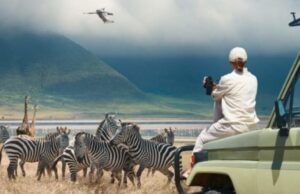 Tourism in Tanzania Picks up