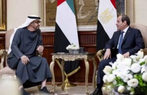 Egypt &UAE Heads of State Meet: Discuss Bilateral Issues and Gaza